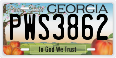 GA license plate PWS3862