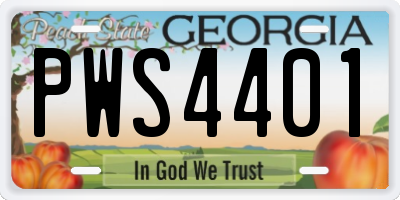 GA license plate PWS4401