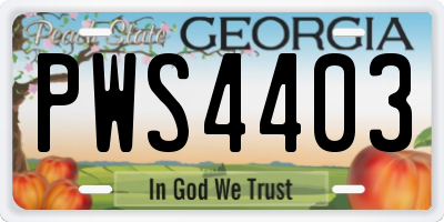 GA license plate PWS4403