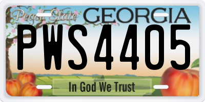 GA license plate PWS4405