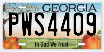 GA license plate PWS4409