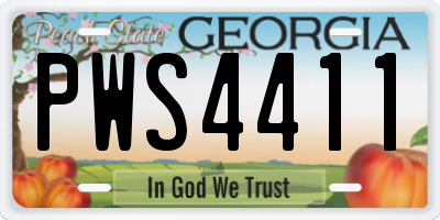 GA license plate PWS4411