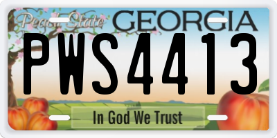 GA license plate PWS4413