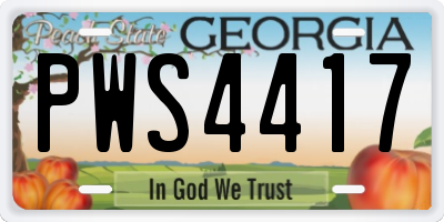 GA license plate PWS4417