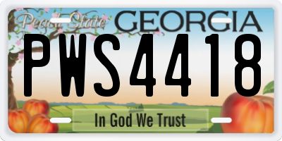 GA license plate PWS4418