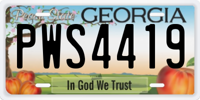 GA license plate PWS4419