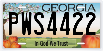 GA license plate PWS4422