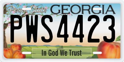 GA license plate PWS4423