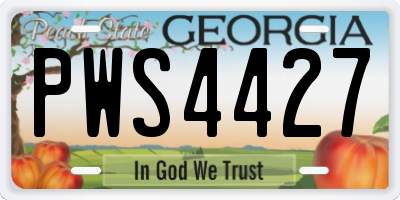 GA license plate PWS4427