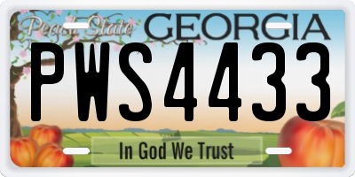 GA license plate PWS4433