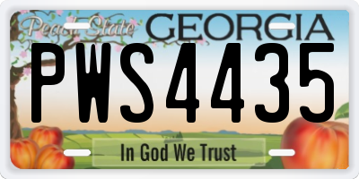 GA license plate PWS4435