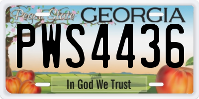 GA license plate PWS4436