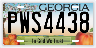 GA license plate PWS4438