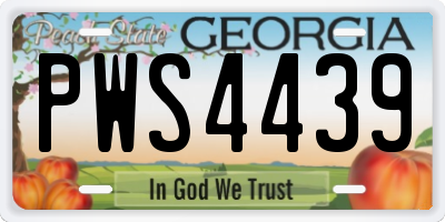 GA license plate PWS4439