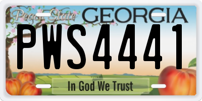 GA license plate PWS4441