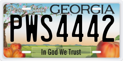 GA license plate PWS4442