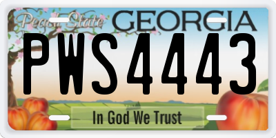 GA license plate PWS4443