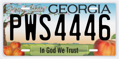 GA license plate PWS4446