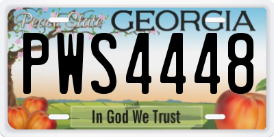 GA license plate PWS4448
