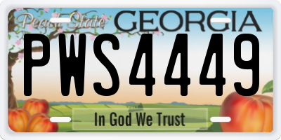 GA license plate PWS4449