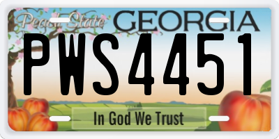 GA license plate PWS4451
