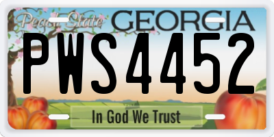 GA license plate PWS4452