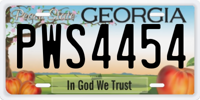 GA license plate PWS4454