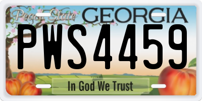 GA license plate PWS4459