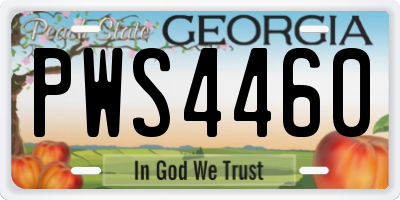 GA license plate PWS4460