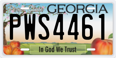 GA license plate PWS4461