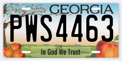 GA license plate PWS4463