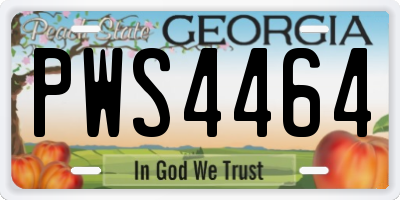 GA license plate PWS4464