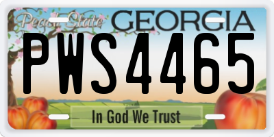 GA license plate PWS4465