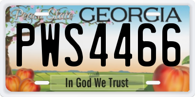 GA license plate PWS4466