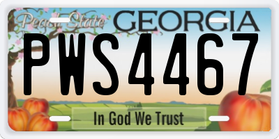 GA license plate PWS4467