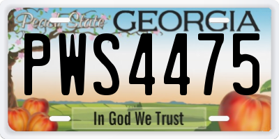 GA license plate PWS4475