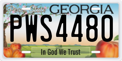 GA license plate PWS4480