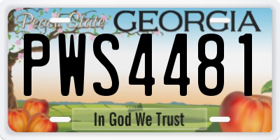 GA license plate PWS4481