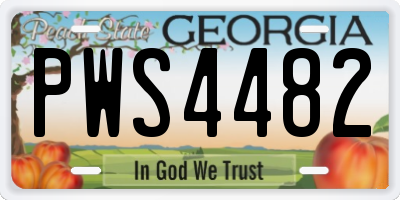 GA license plate PWS4482