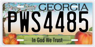 GA license plate PWS4485