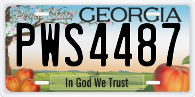 GA license plate PWS4487
