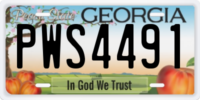 GA license plate PWS4491