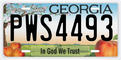 GA license plate PWS4493