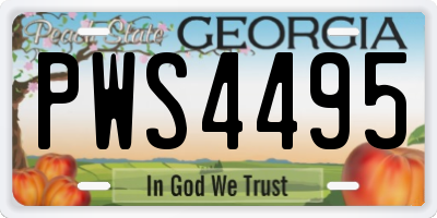 GA license plate PWS4495