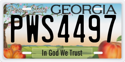 GA license plate PWS4497