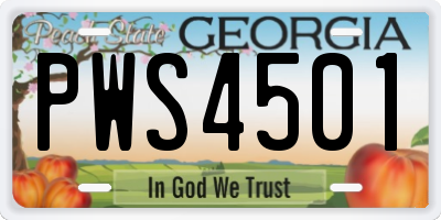 GA license plate PWS4501