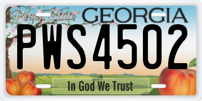 GA license plate PWS4502