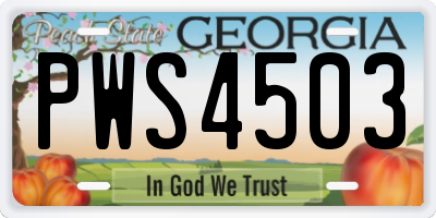 GA license plate PWS4503