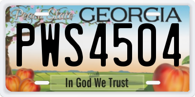 GA license plate PWS4504