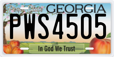 GA license plate PWS4505